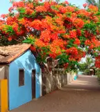 Táxi Arraial - Robélio Taxi